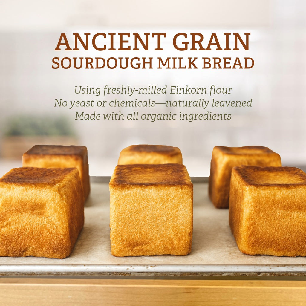 Bake-at-Home Sourdough Shokupan (Japanese Milk Bread)